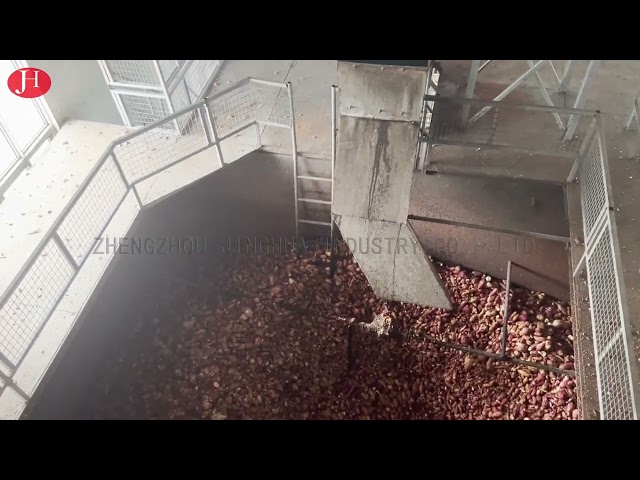 LA CHINE Solides solubles nettoyant l'amidon de patate douce faisant la machine 25t/H 18.5kw à vendre