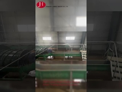 Équipement de traitement de l'amidon de manioc de 50 t/h