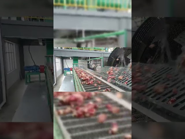 LA CHINE Machine de fabrication de fécule de manioc en acier inoxydable à vendre