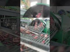 Équipement efficace de broyage et de séparation en acier inoxydable continu de la farine de patate douce