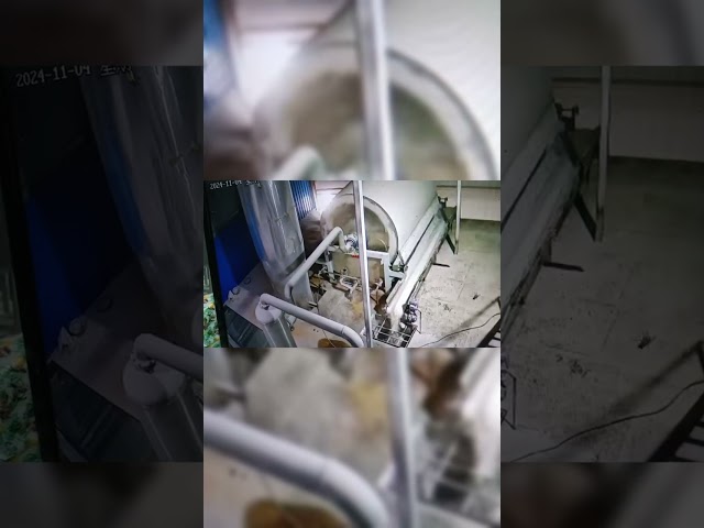 LA CHINE lavage de nettoyage de la patate douce 30Kw faisant à équipement le joint rotatoire à vendre