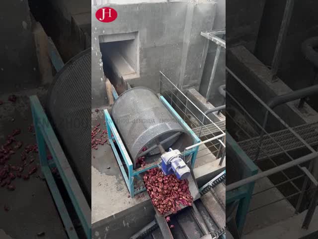 LA CHINE Transformateur de fécule de patate à commande PLC, offrant nettoyage, broyage et conditionnement pour applications industrielles à vendre