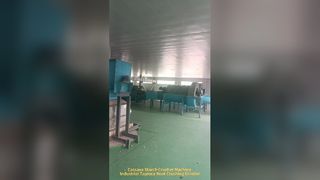 Équipement électrique de pulvérisateur de tubercule de racine de machine de meulage d'amidon de manioc