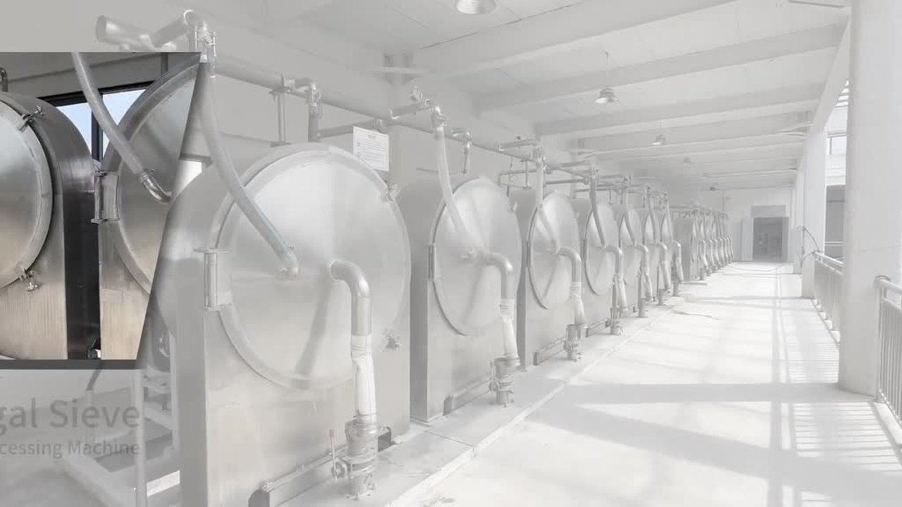 LA CHINE Équipement sec automatique de tamis de centrifugeuse de boue d'amidon de manioc de pomme de terre à vendre